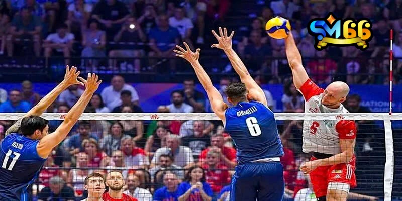 Lưu ý bỏ túi để chiến thắng cá cược bóng chuyền trực tuyến