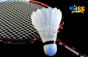 Cược chung cuộc phức tạp nhưng thưởng lớn