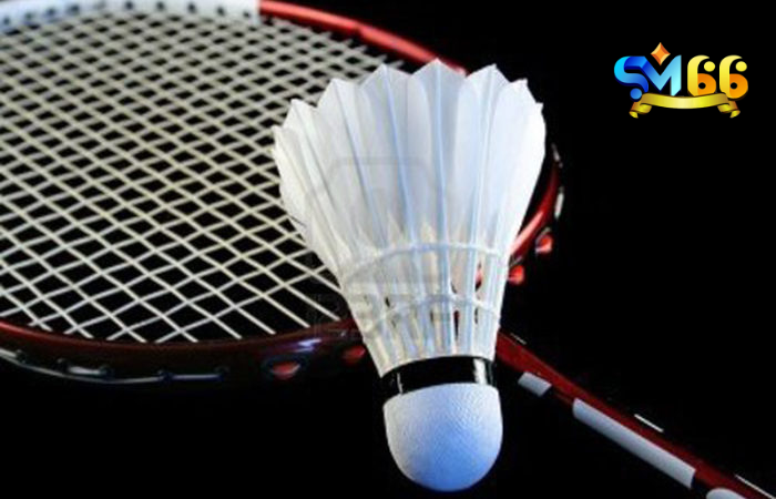Cược chung cuộc phức tạp nhưng thưởng lớn