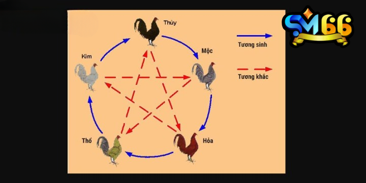 Tìm hiểu thông tin về màu mạng đá gà