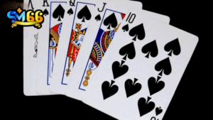 Poker SM66