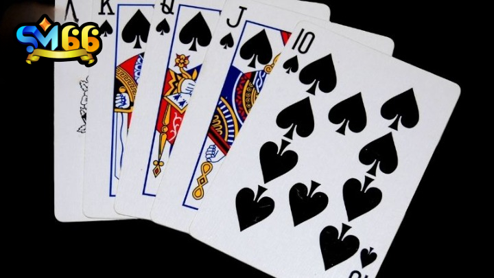 Poker SM66