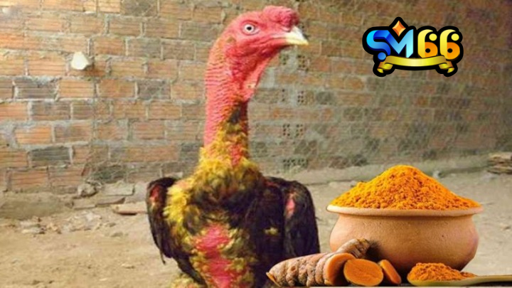 Bạn cần chuẩn bị các nguyên liệu đầy đủ